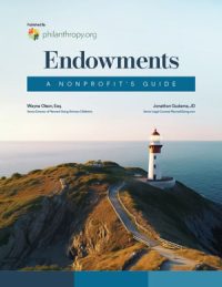 Endowments: A Nonprofit's Guide (Book Cover)